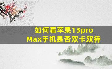 如何看苹果13pro Max手机是否双卡双待